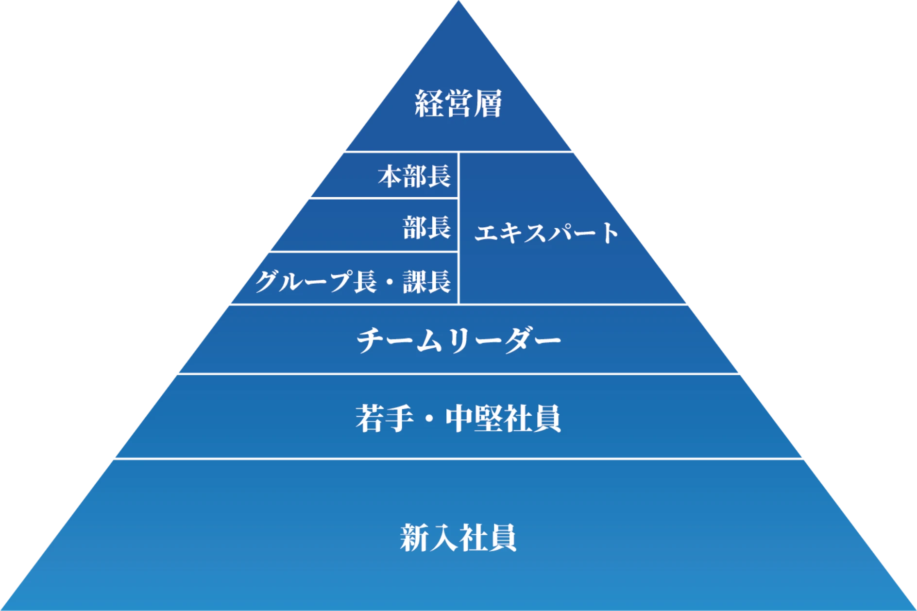 新卒研修の流れ